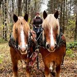 Profile Picture of Anneli Stakeberg Åkesson (@rena_hastkrafter) on Instagram