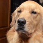 Steve Franzoni - Instagram Profile Picture of Steve Franzoni (@stevefranzoni) on Instagram