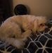 Profile Picture of Michael Lani (@michael.lani.9216) on Facebook