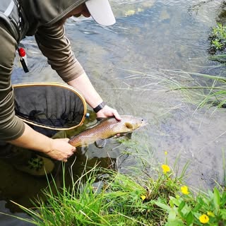 Profile Picture of Victor Asp (@asp.victor) on Instagram