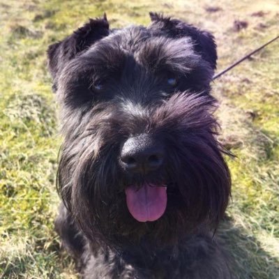 Profile Picture of James Gadsby (@James_Gadsby) on Twitter