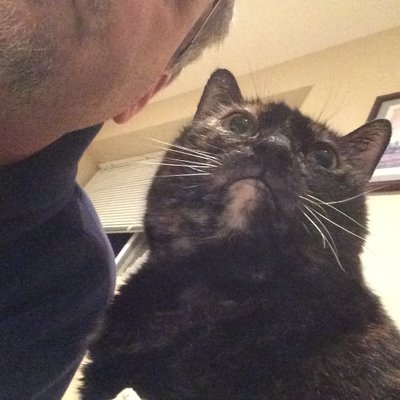 Profile Picture of STEVE STRATTON (@UNCLE_AKA) on Twitter