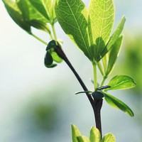 Profile Picture of Adel Saeed (@adel-saeed-13) on Quora