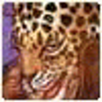 Profile Picture of Ellen Albert (@bayrnks) on Twitter