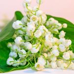 Profile Picture of mona_jaffer (@mona_jaffer) on Instagram