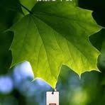 Profile Picture of Pamela Mak (@pamelamak.gimchee) on Facebook