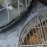 Profile Picture of Doug Kelly (@dougkelly45) on Flickr