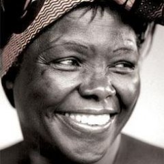 Profile Picture of Creator (@KathyBimo) on Twitter