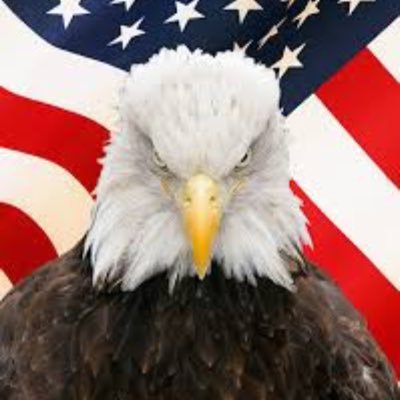 Profile Picture of Scott Elswick (@plumbhard_scott) on Twitter