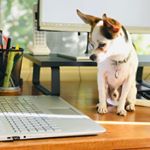 Profile Picture of Marty + George (@martyandgeorge) on Instagram