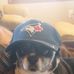 Profile Picture of Mark Hausmann (@mark.hausmann.12) on Facebook