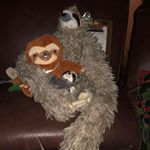 Profile Picture of Jerry Cook (@jerry.cook.73) on Instagram