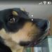 Profile Picture of Michael Scheidecker (@Michael-Scheidecker) on Facebook