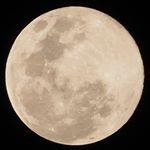 Profile Picture of Nicolás Alzate Velasquez (@alzate.n) on Instagram