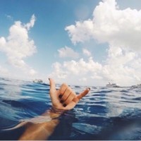 Profile Picture of Katelyn Shea (@katelyn-shea-4) on Quora