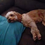 Profile Picture of Laura Carney (@laura.carney.7355079) on Facebook