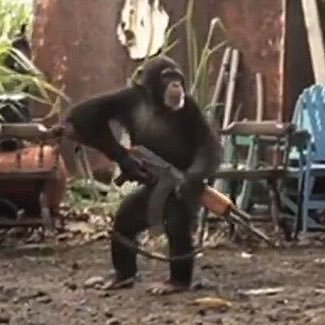 Profile Picture of Sherman Chen (@Sherdowman) on Twitter