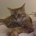 Isaiah Martinez - Flickr Profile Picture of Isaiah Martinez (@isaiahmartinez) on Flickr