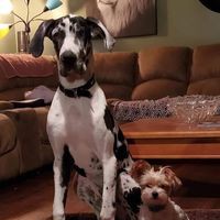 Profile Picture of James Quattrocchi (@james-quattrocchi-2) on Quora