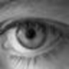 Profile Picture of David Wilmot (@David Wilmot) on Flickr