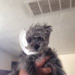 Profile Picture of Kyle Lathan (@kyle_hockeypl59) on Instagram