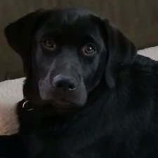 Profile Picture of Mike Herth (@MikeHerth) on Twitter