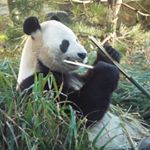 Profile Picture of Vickie O'Leary (@vickie.oleary) on Instagram