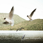 Profile Picture of Richard Navarrete (@AlmaFotograf?a) on Flickr