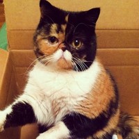 Jacque Wells - Quora Profile Picture of Jacque Wells (@jacque-wells) on Quora