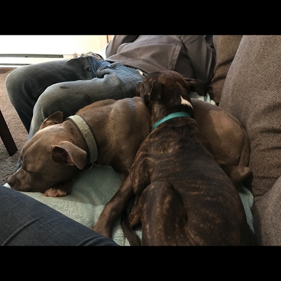 Kiley Sheaffer - Poshmark Profile Picture of Kiley Sheaffer (@ksheaf) on Poshmark