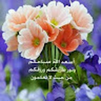 Profile Picture of Mona Ibrahim (@mona-ibrahim-8-1) on Quora