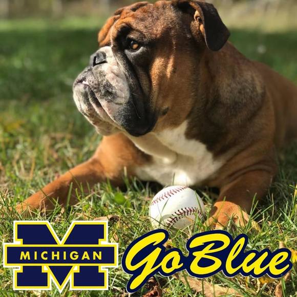 Profile Picture of Darren Dobbyn (@dardob3) on Poshmark