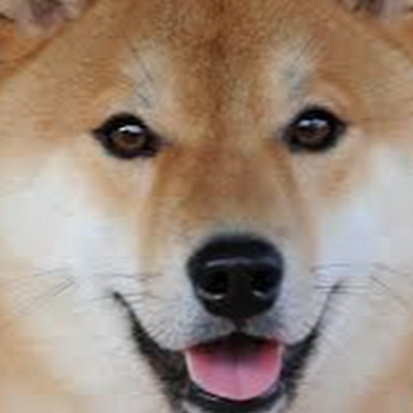 Profile Picture of Jason Snyder (@pigeonlactation) on Poshmark