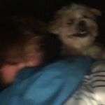 Profile Picture of Adam Sheehan (@_dadam_29) on Instagram