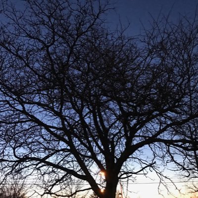 Profile Picture of GB (@GaryBowling1) on Twitter