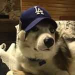 Profile Picture of Jacob Egan (@_jiggityjay) on Instagram