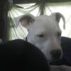 Profile Picture of stevekincaid (@@stevekincaid) on Tiktok