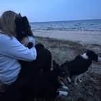 Profile Picture of Alice Fredriksson (@Alice-Fredriksson) on Facebook