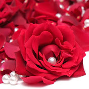 Profile Picture of Hodhod Khudair (@Hodhod089) on Youtube