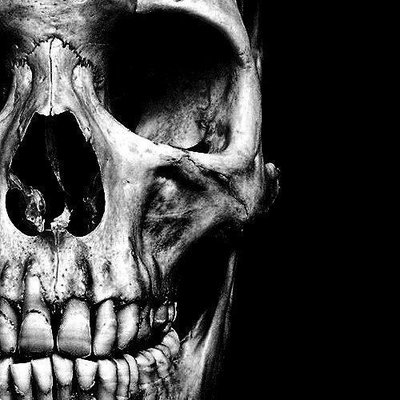 Profile Picture of Jared Evan English (@evanjee1) on Twitter