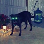 Profile Picture of Kevin O'Gara (@kog82158) on Instagram