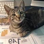 Profile Picture of Michael Vanden-Heuvel (@vandenheuvel.michael) on Instagram