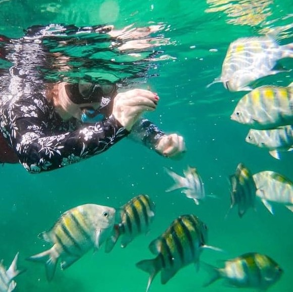 Profile Picture of Gwendolyn Sweezey (@gwendolynvm) on Poshmark