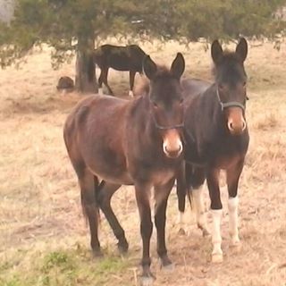 Profile Picture of Jonas Borntrager (@jonas.borntrager.7) on Facebook