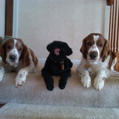 Profile Picture of Andrew Hanses (@AndrewHanses) on Twitter