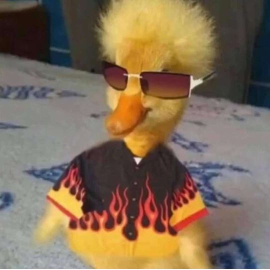 Profile Picture of kaczor (@kaczor_3_) on Tiktok