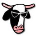 Profile Picture of Steven David Stoffers (@banthungpi) on Pinterest