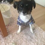 Profile Picture of kevin_yamamoto (@kevin_yamamoto) on Instagram