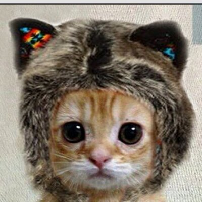 Profile Picture of Tom Cordell (@TomDirect121) on Twitter