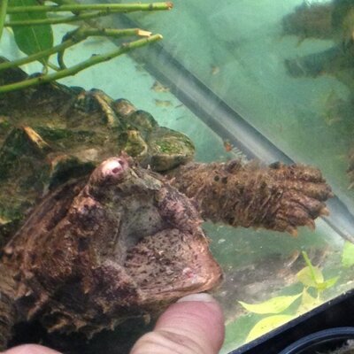 Profile Picture of Danielle Pitzner (@dpitzner) on Twitter